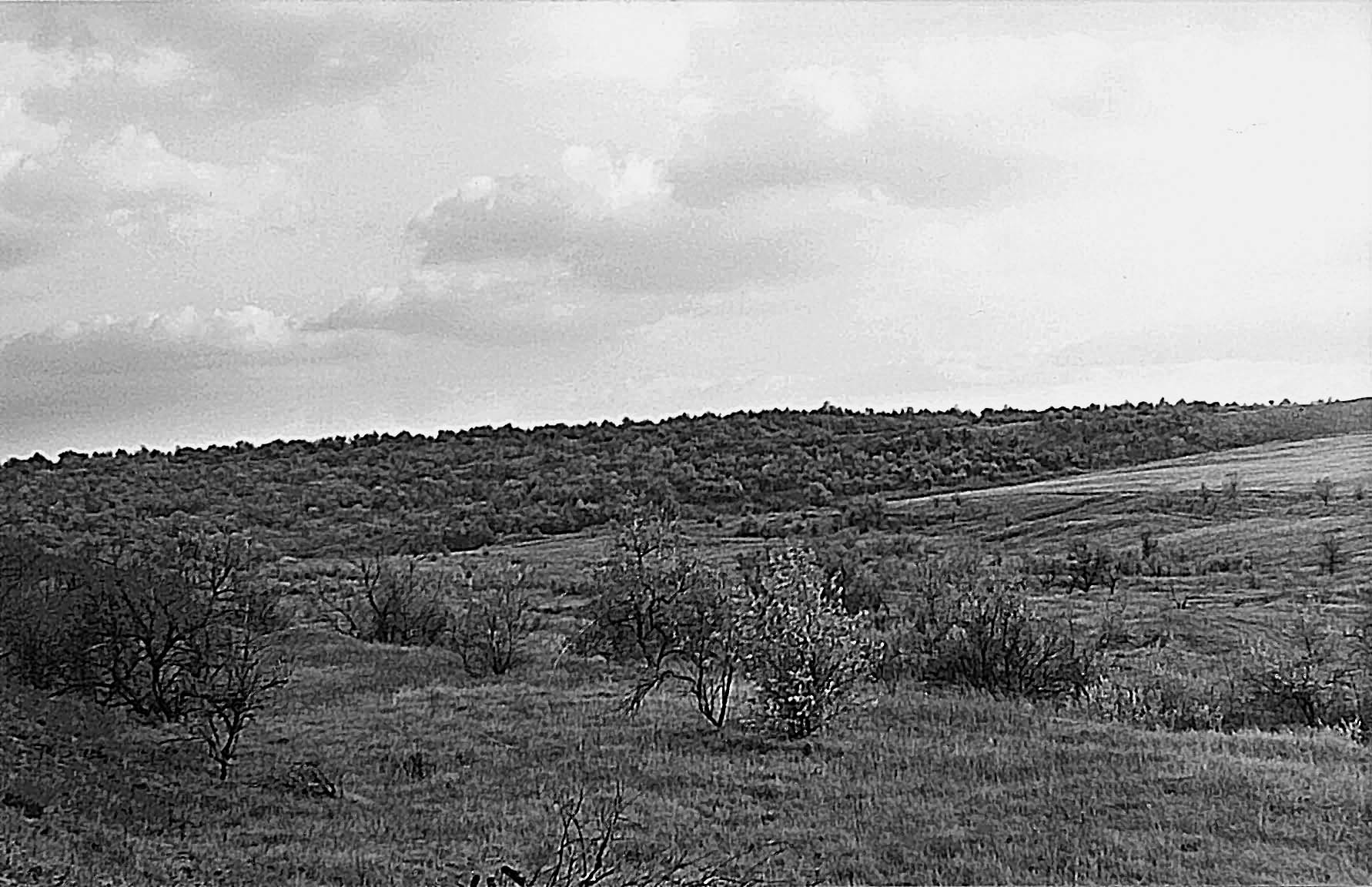 фото: Богданівський заказник